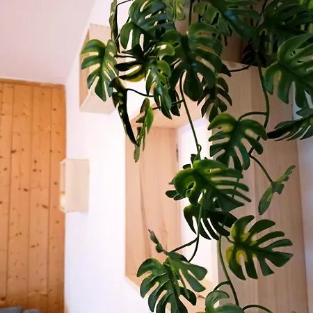 度假居 Maison Liloute 梅兹